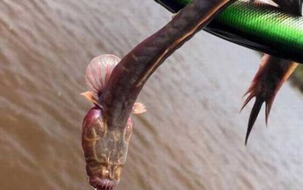 ����Ϻ������ʲô�㣿