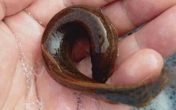 ��������ʲô������