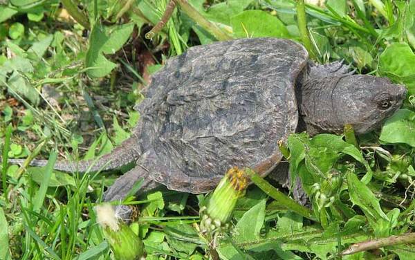 ����������ʲô���