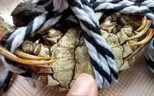 ϴ��з��ʲô��˼��