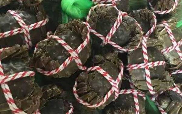 ��բзʲôʱ�����ã�