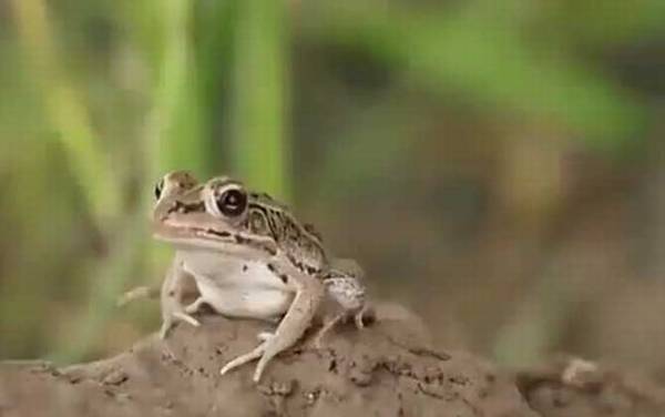 ���ܺ������ʲô����