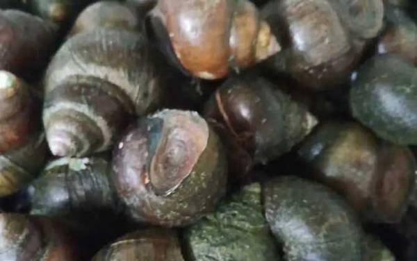�и����Գ�������