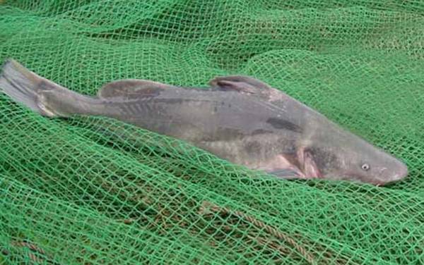 �����Ǽ����������