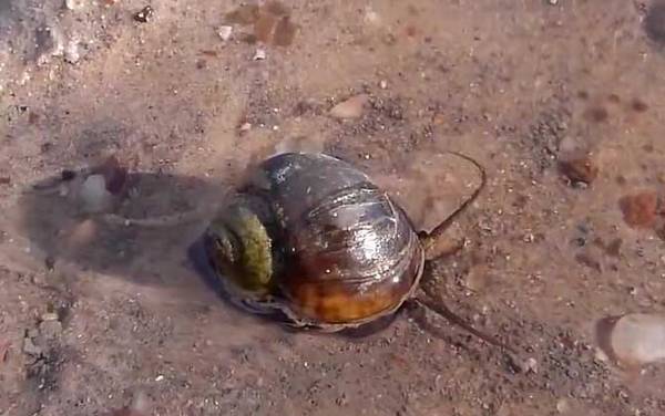 ��������ʲô�ݣ�