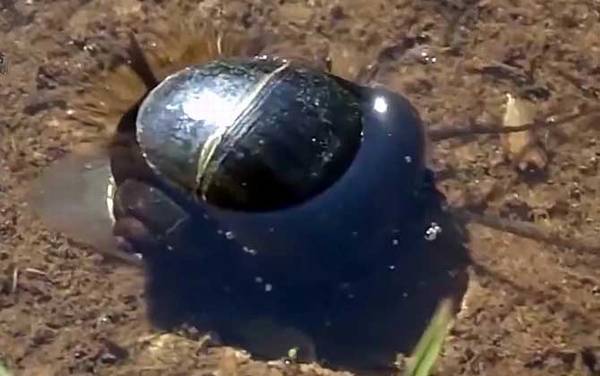 ��������ʲô�ݣ�