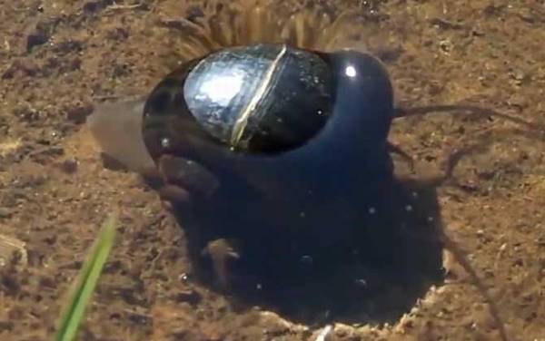 �����ݺ����ݵ�����