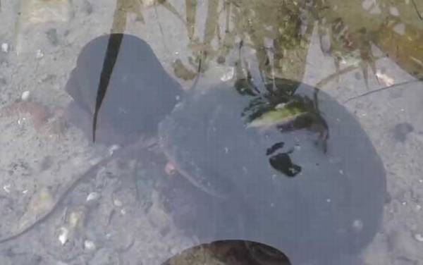 �����ݺ����ݵ�����