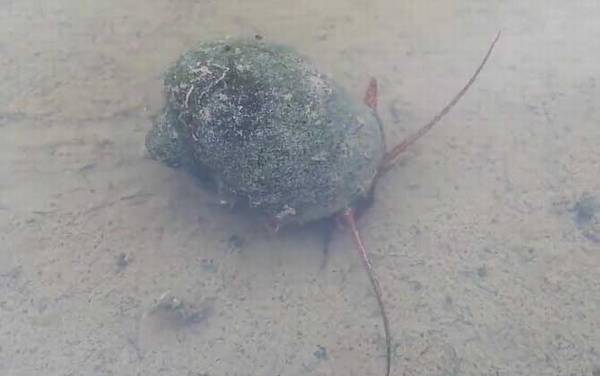 �����ݺ����ݵ�����