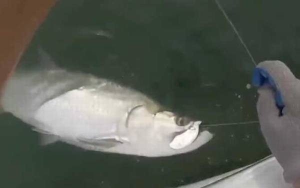 ������ʲô�㣿