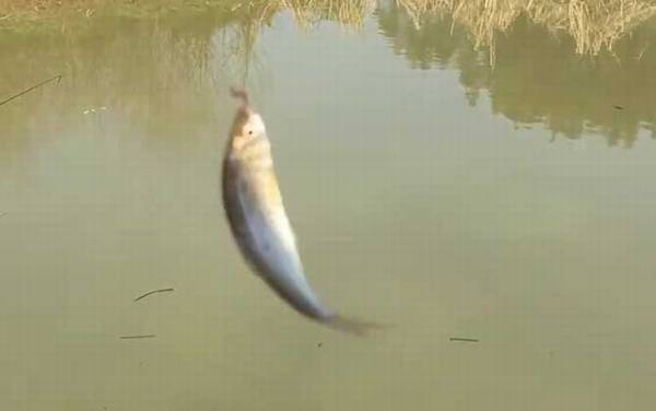 �������ˮ����
