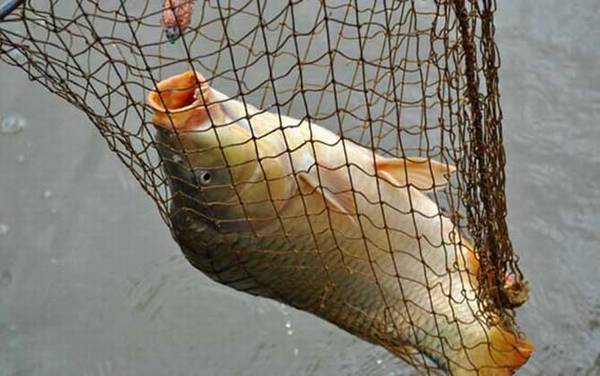 ����ʲôʱ����ѣ�