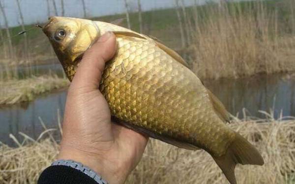 ���������ϰ�Լ��ص�