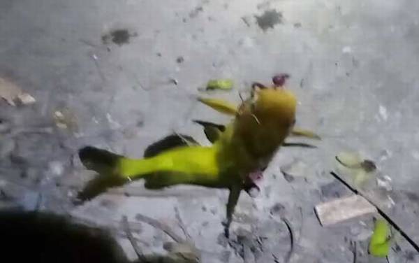 �ƹ�������ʲô�㣿