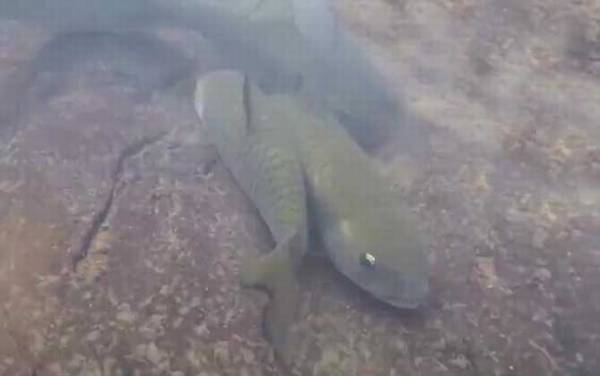 �л��������Ǿ�����