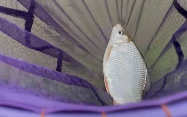 �������ֽ�ʲô�㣿