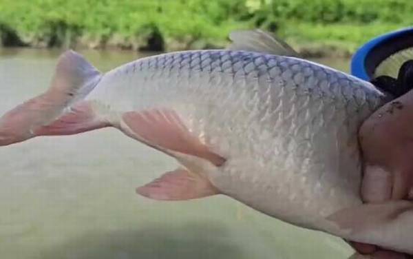 ̩����ó���
