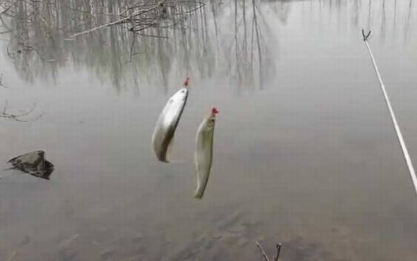 �������ˮ��Ҫ�����