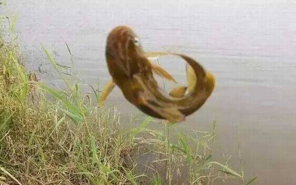 �����ѧ����ʲô�㣿