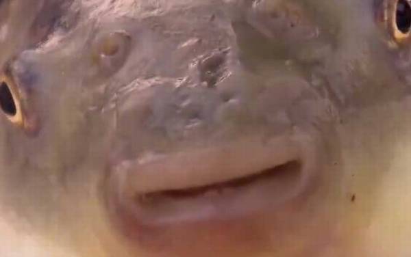 ������ʲô�㣿