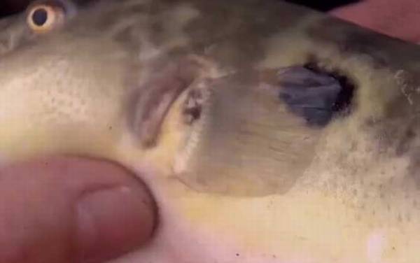 ������ʲô�㣿