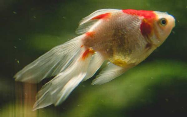 12�����ʺ��������Ĺ�����