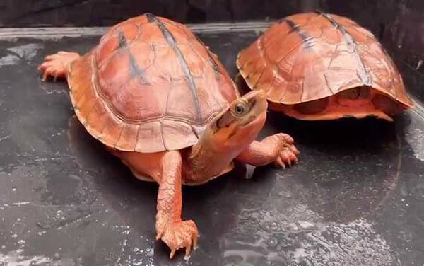 ��Ǯ����ʲô���