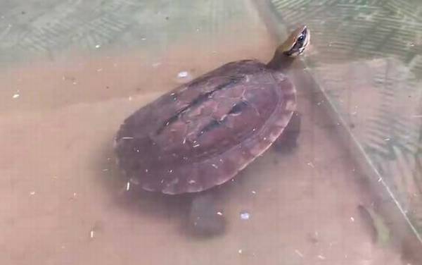 ��Ǯ����ô����ã�