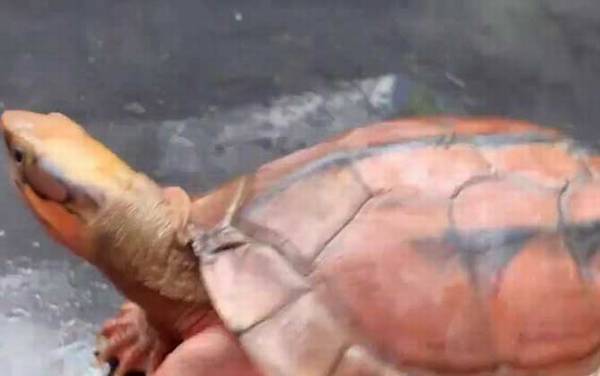 ��Ǯ����ô����ã�