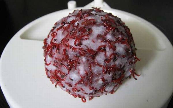 �����㲻�ùҹ���ô�죿