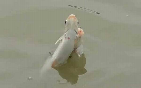 ����������ʲô������ã�