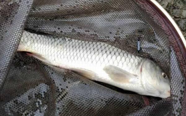 ���������׶����䷽��ȫ