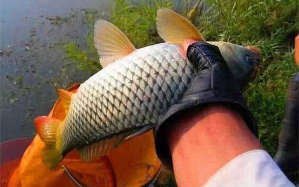 �ļ������������������䷽