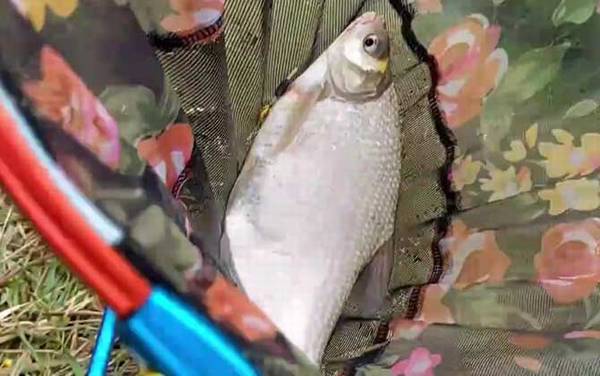 ���㰮��ʲô���ϣ�