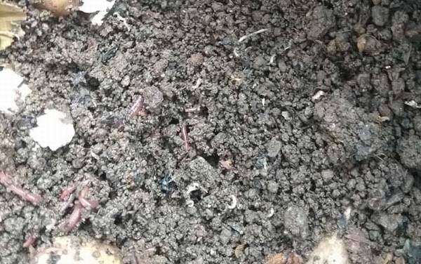 �������繫�ϵ��������