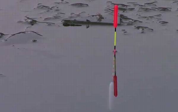 ���������ö������飿