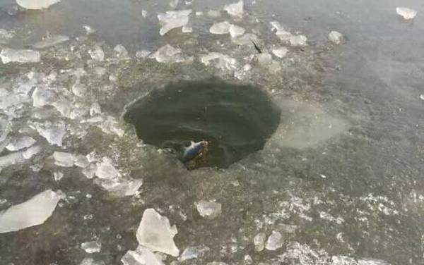 �����ö��������ʣ�