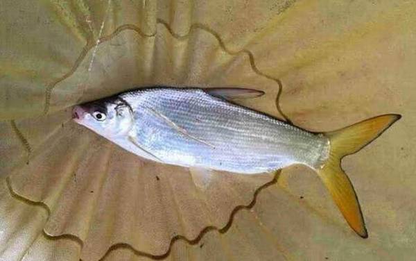 �����2���㹳���Ե�ʲô�㣿