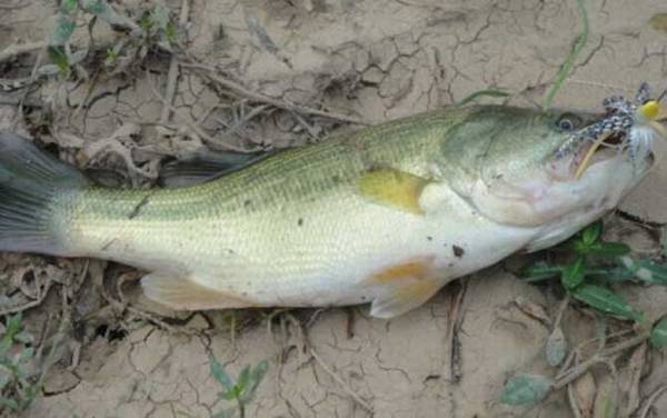 �������ü��Ź������ߺ��ʣ�