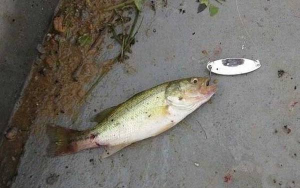 ·��������ʲô·�Ǹͣ�