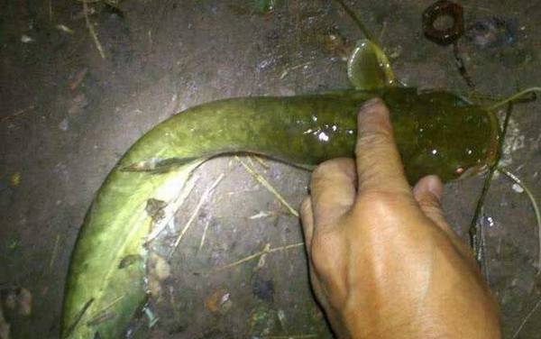 ҹ�����㼸�㵽������ã�
