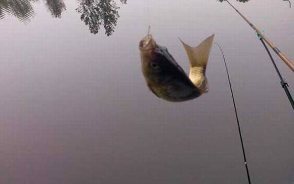 ������ļ��ɺͷ���
