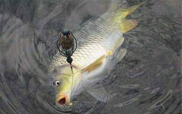 ������ô��Ư���ҵף�