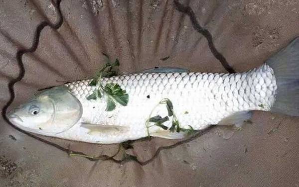 ������ˮ����ٺ��ʣ�