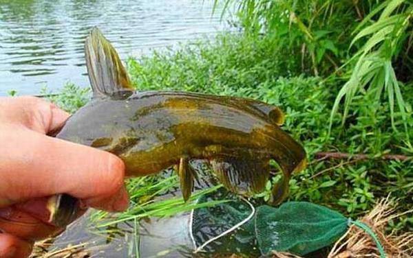 ������������ֹС�����ѣ�