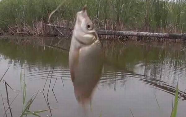 ������Ѯ�ʺϵ�����