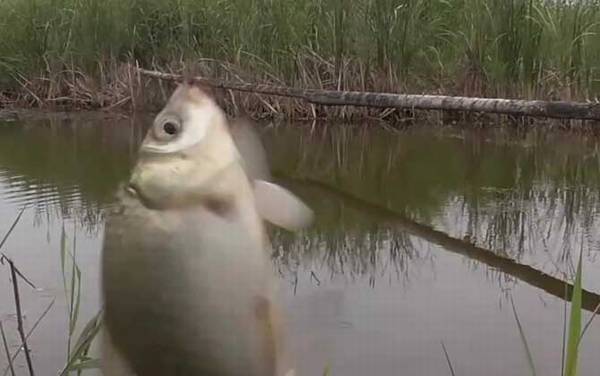������Ѯ�ʺϵ�����