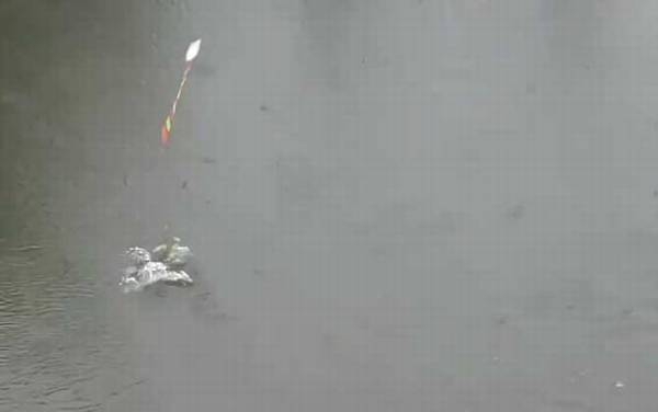 �ļ����㼼�ɺͷ���