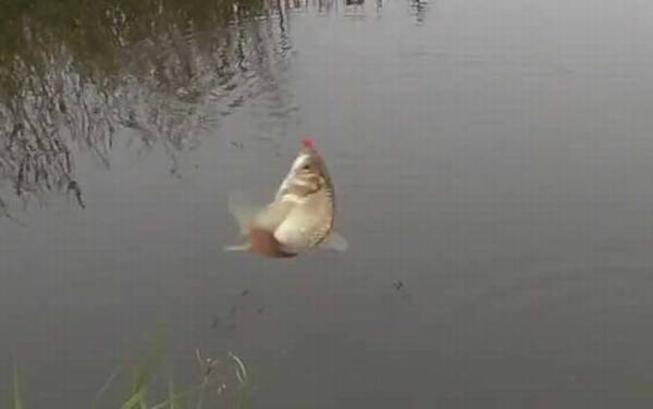 �������ѡʲôλ�òźã�