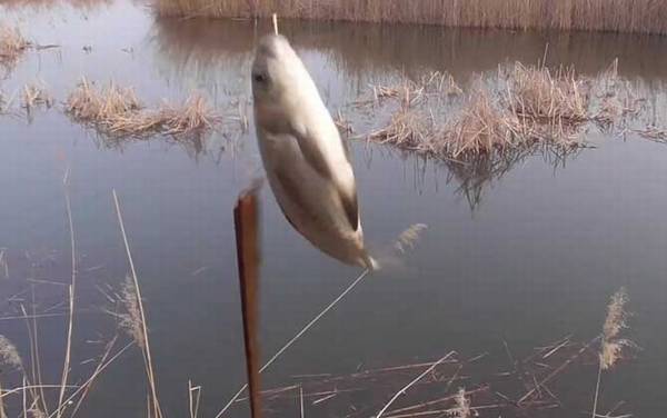�������ò��õ��㣿